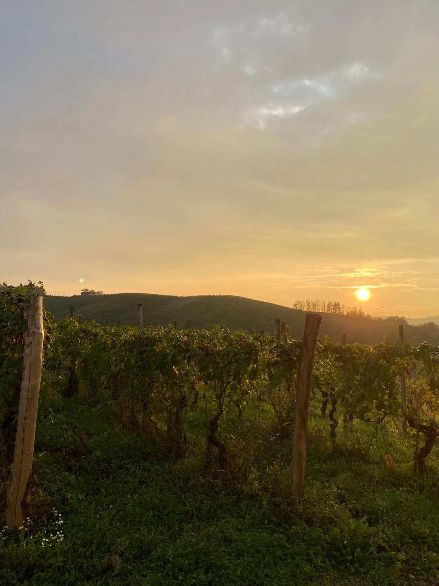 Tenuta Agricola La Cava- Cantina E Agriturismo San Damiano d'Asti Bagian luar foto