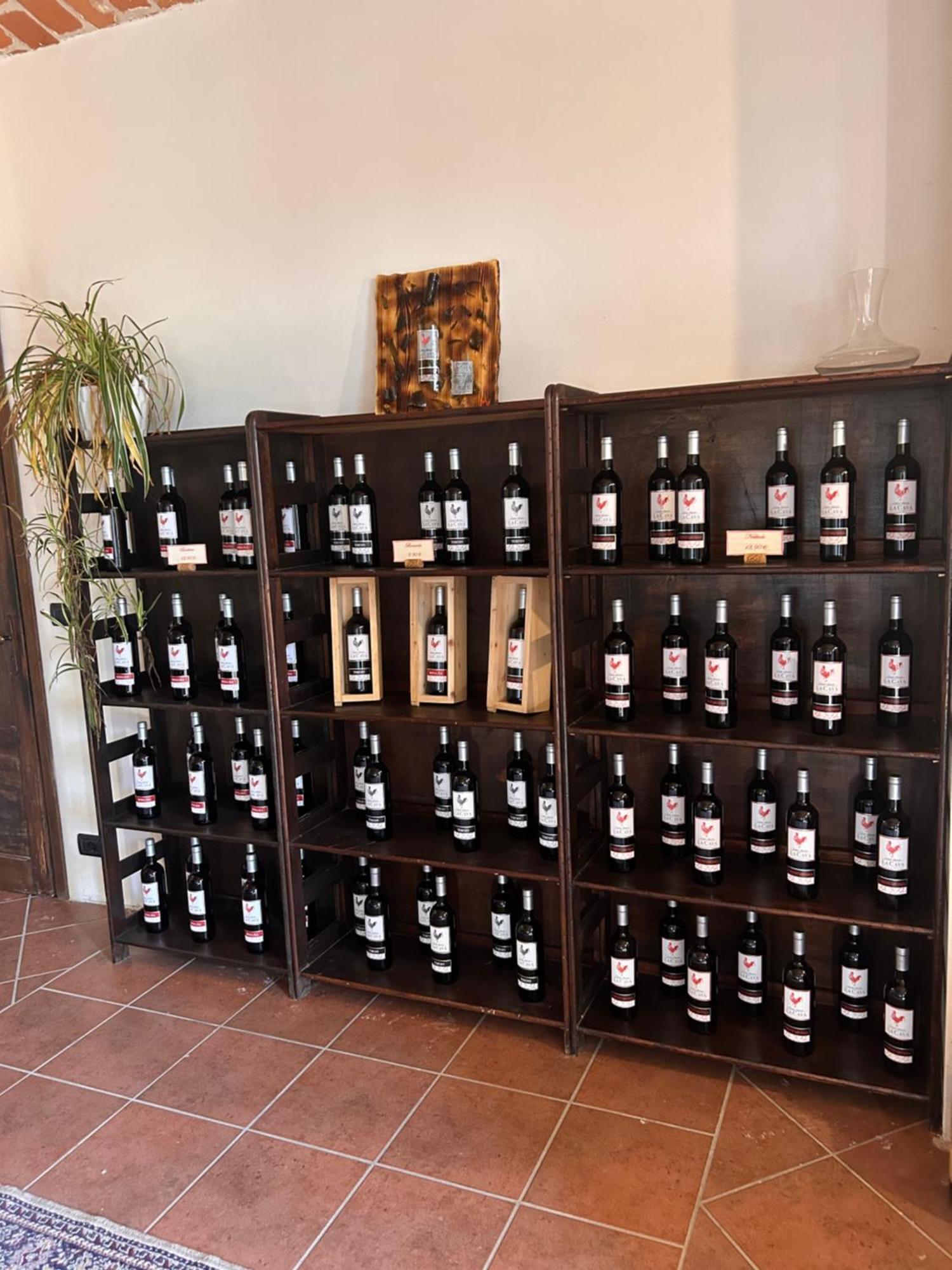 Tenuta Agricola La Cava- Cantina E Agriturismo San Damiano d'Asti Bagian luar foto