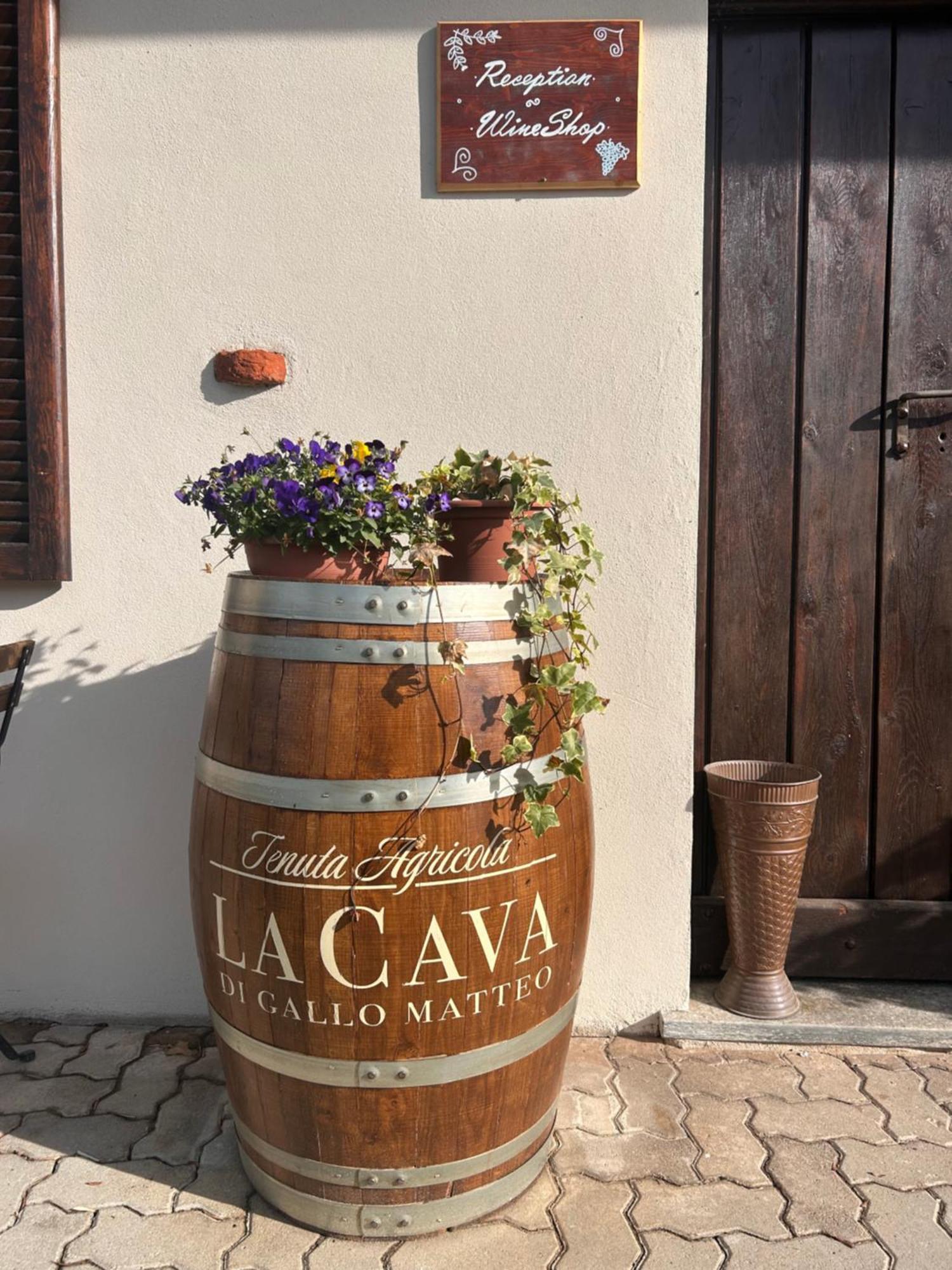 Tenuta Agricola La Cava- Cantina E Agriturismo San Damiano d'Asti Bagian luar foto